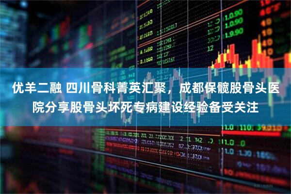 优羊二融 四川骨科菁英汇聚,成都保髋股骨头医院分享股骨头坏死专病建设经验备受关注