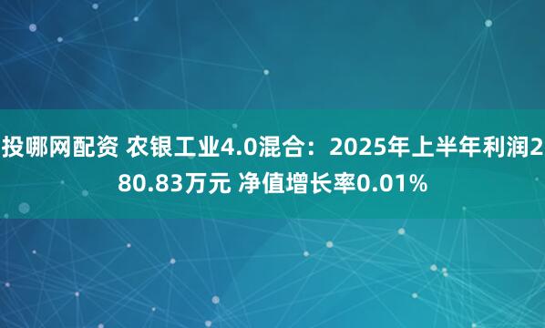 投哪网配资 农银工业4.0混合:2025年上半年利润280.83万元 净值增长率0.01%