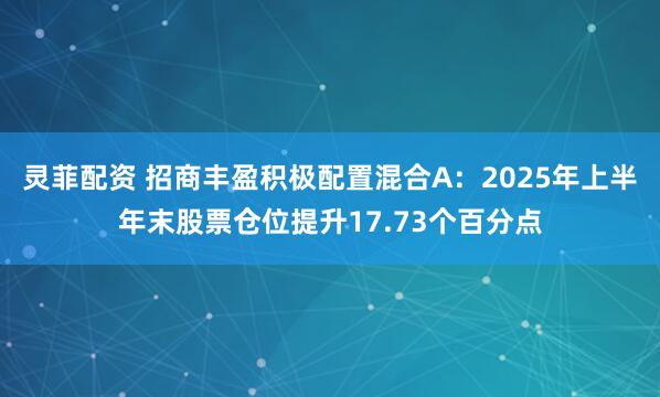 灵菲配资 招商丰盈积极配置混合A：2025年上半年末股票仓位提升17.73个百分点