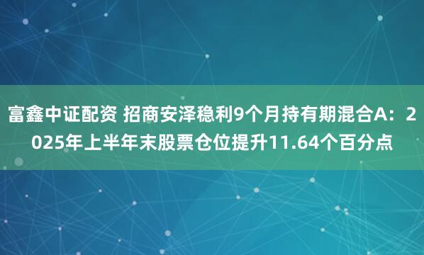 富鑫中证配资 招商安泽稳利9个月持有期混合A：2025年上半年末股票仓位提升11.64个百分点
