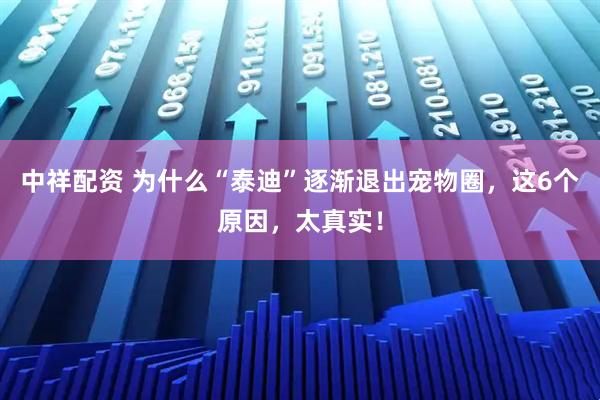 中祥配资 为什么“泰迪”逐渐退出宠物圈，这6个原因，太真实！