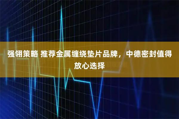 强翎策略 推荐金属缠绕垫片品牌，中德密封值得放心选择