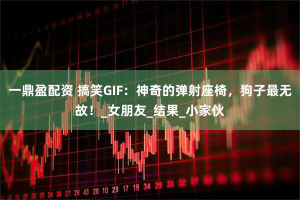 一鼎盈配资 搞笑GIF：神奇的弹射座椅，狗子最无故！_女朋友_结果_小家伙