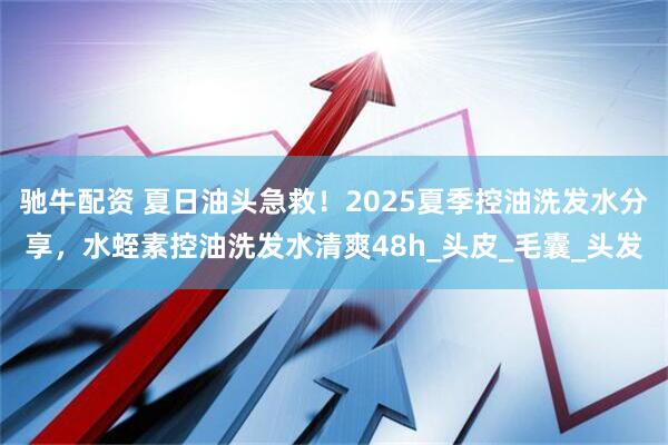 驰牛配资 夏日油头急救！2025夏季控油洗发水分享，水蛭素控油洗发水清爽48h_头皮_毛囊_头发