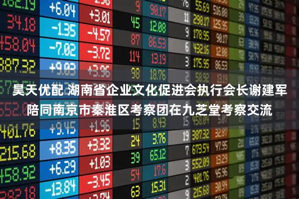 昊天优配 湖南省企业文化促进会执行会长谢建军陪同南京市秦淮区考察团在九芝堂考察交流